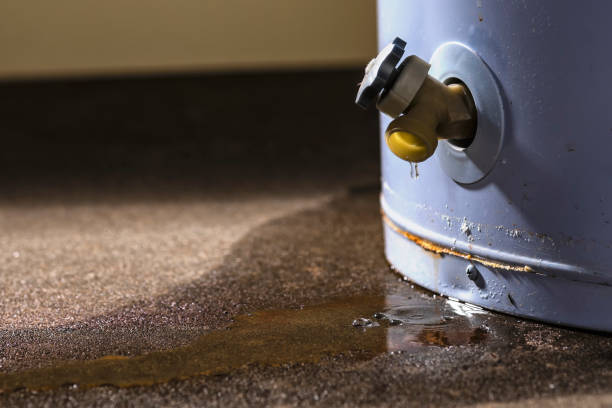 Best Carpet water damage restoration  in Delavan Lake, WI