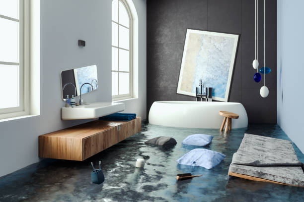 Best Carpet water damage restoration  in Delavan Lake, WI