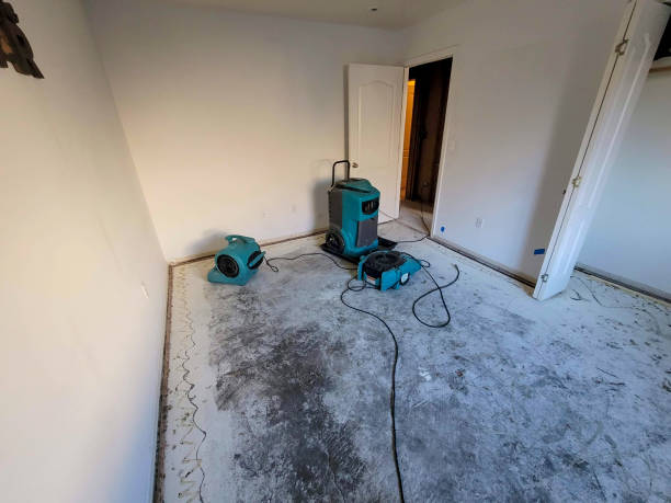 Best Water damage restoration near me  in Delavan Lake, WI