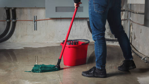 Best Water damage restoration near me  in Delavan Lake, WI