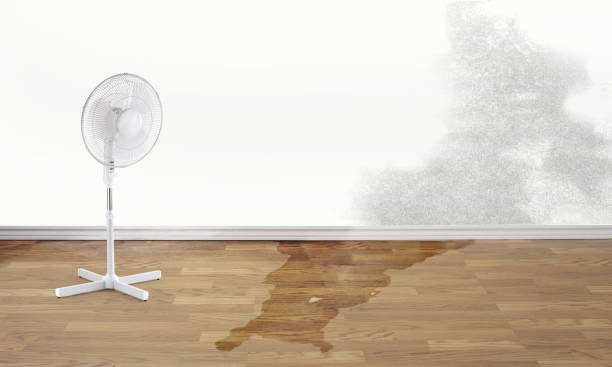 Best Commercial water damage restoration  in Delavan Lake, WI