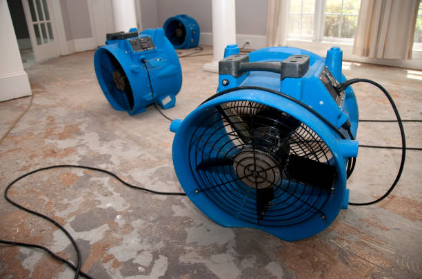 Best Fire Damage Restoration  in Delavan Lake, WI