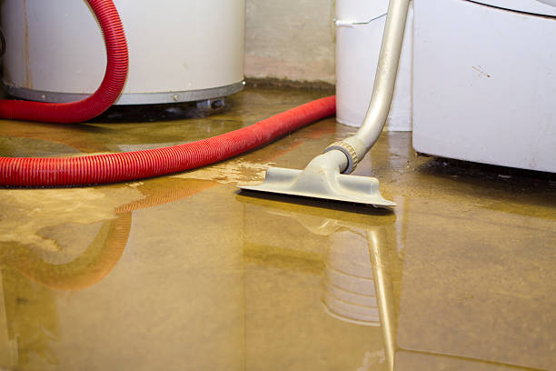Best Professional water damage repair  in Delavan Lake, WI