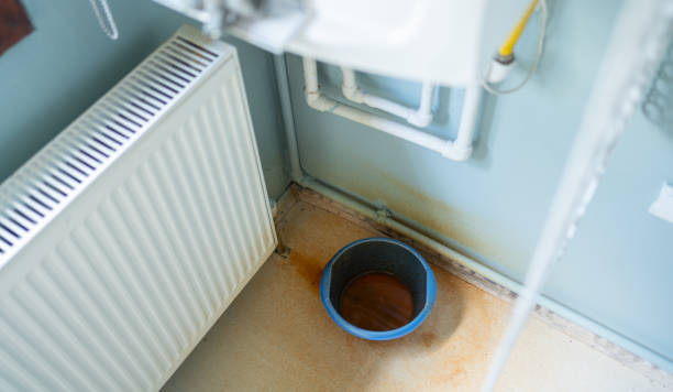 Best Mold removal after water damage  in Delavan Lake, WI