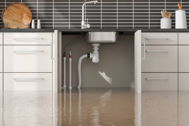 Best Emergency water damage restoration  in Delavan Lake, WI