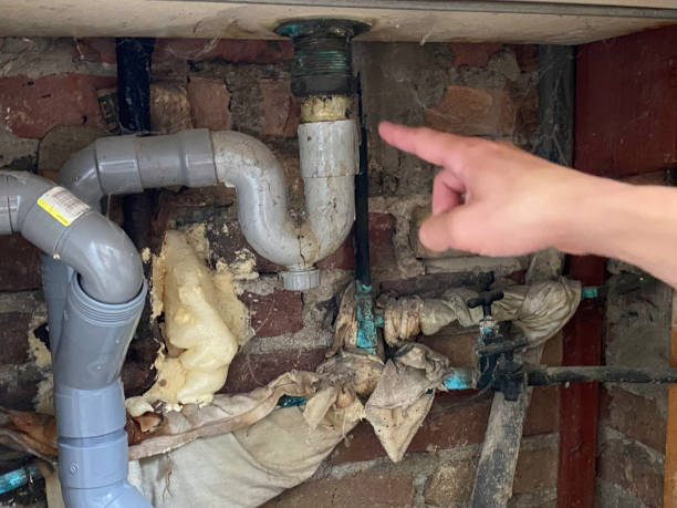 Best Basement water damage restoration  in Delavan Lake, WI