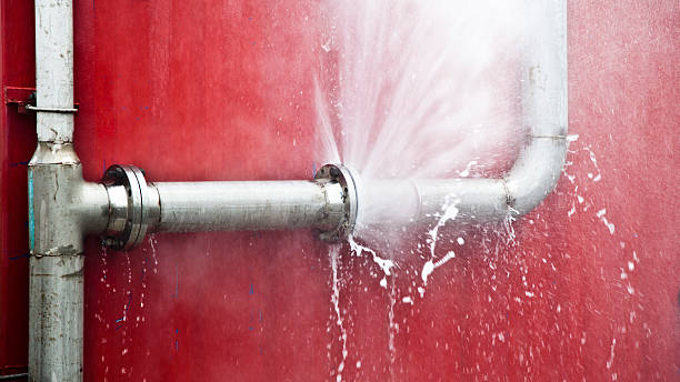 Best Flooded house restoration  in Delavan Lake, WI